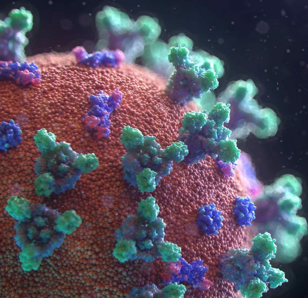 Coronavirus