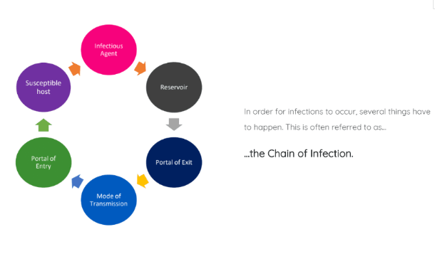 IPC Screenshot Chain of Infection | Infection Prevention & Control Courses | Care Certificate