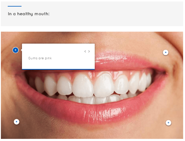 Oral Health 3 Oral Health Care Course | eLearning Training | Social Care
