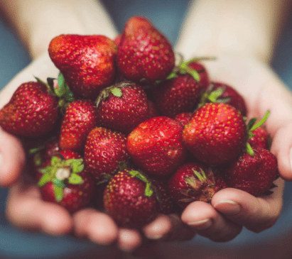 Food Safety and Hygiene Training Course for Social Care Companies | Care Certificate Online