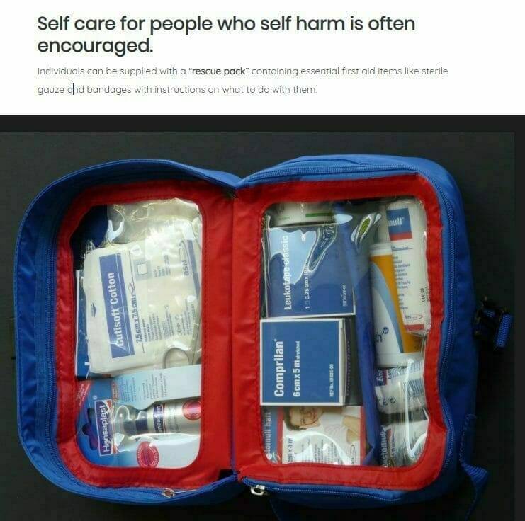 screenshot self harm 3 screenshot self harm 3