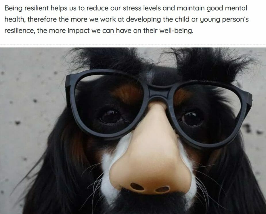 Support wellbeing and resilience of CYP screenshot 1 Support wellbeing and resilience of CYP screenshot 1
