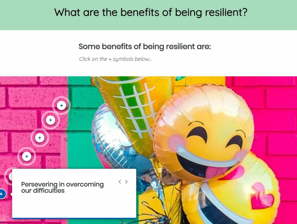 Support wellbeing and resilience of CYP screenshot 2 Support wellbeing and resilience of CYP screenshot 2