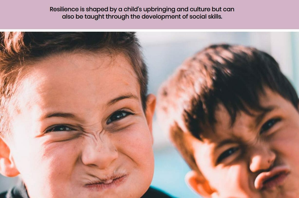 Support wellbeing and resilience of CYP screenshot 3 Support wellbeing and resilience of CYP screenshot 3