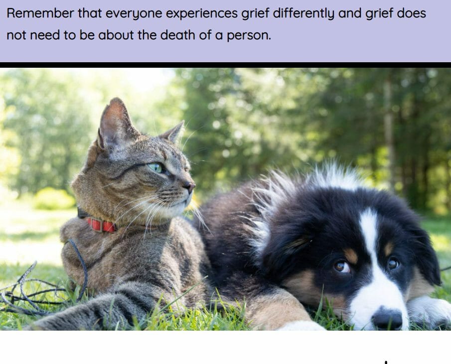 Loss and bereavement screenshot 4 Loss and bereavement screenshot 4