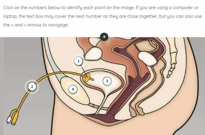 Catheter course screenshot 1 Catheter course screenshot 1