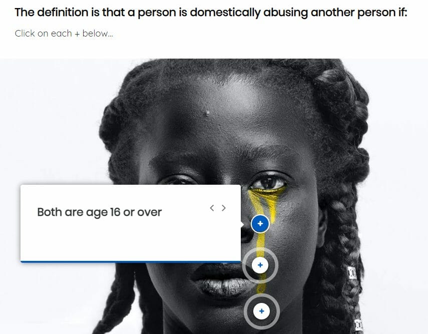 Domestic abuse screenshot 2 domestic abuse training